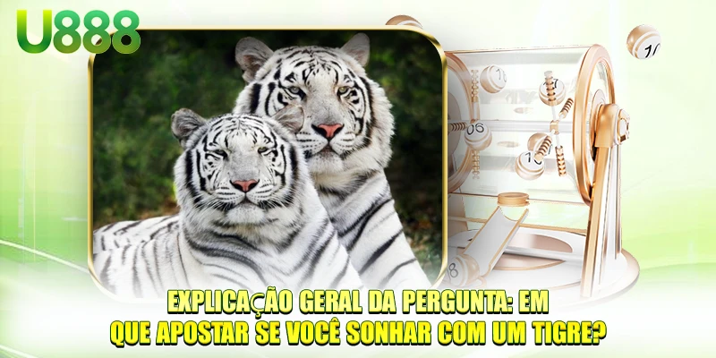 Explicação geral da pergunta: Em que apostar se você sonhar com um Tigre?