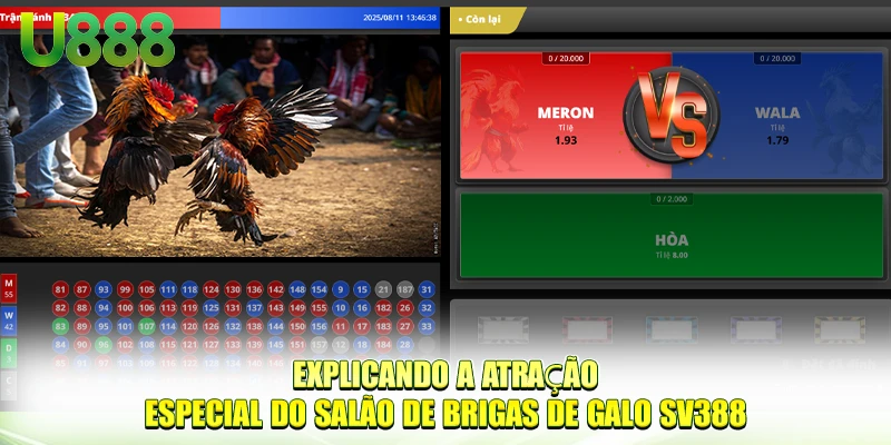 Explicando a atração especial do salão de SV388 Cockfighting