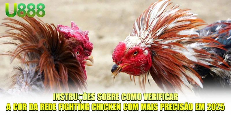 Instruções sobre como verificar a Cor do signo do galo de briga com mais precisão em 2025