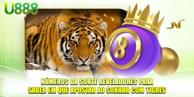 Números da sorte reveladores para saber em que apostar ao sonhar com Tigres