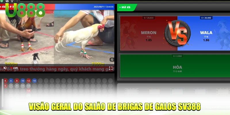 Visão geral do salão de brigas de galos SV388